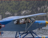 TSR Watermark - 0247